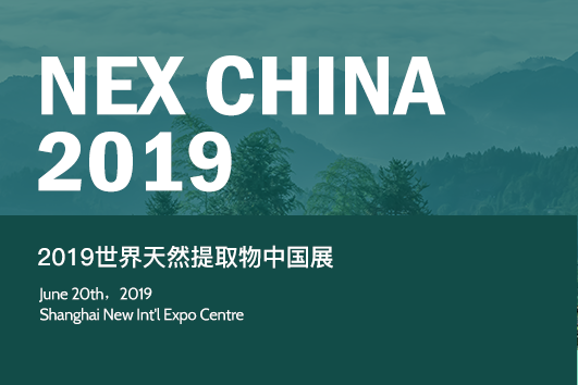 NEX China 2019